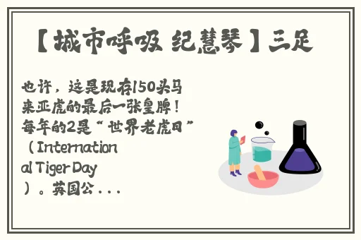 八戒八戒视频在线WWW观看
